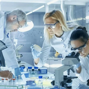 Консультации