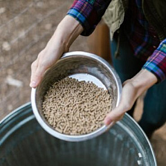 Когда вступит в силу новый технический регламент на корма?